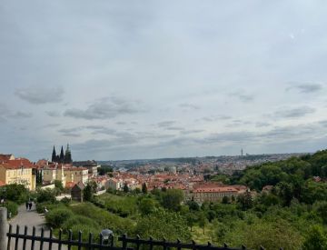 IMG_7091.JPG