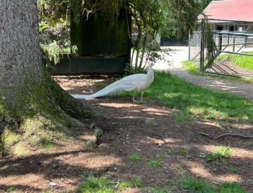 IMG_7574.JPG